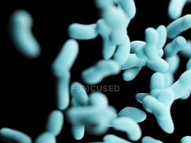 Abstract illustration of bacilli bacteria, full frame. — Stock Photo