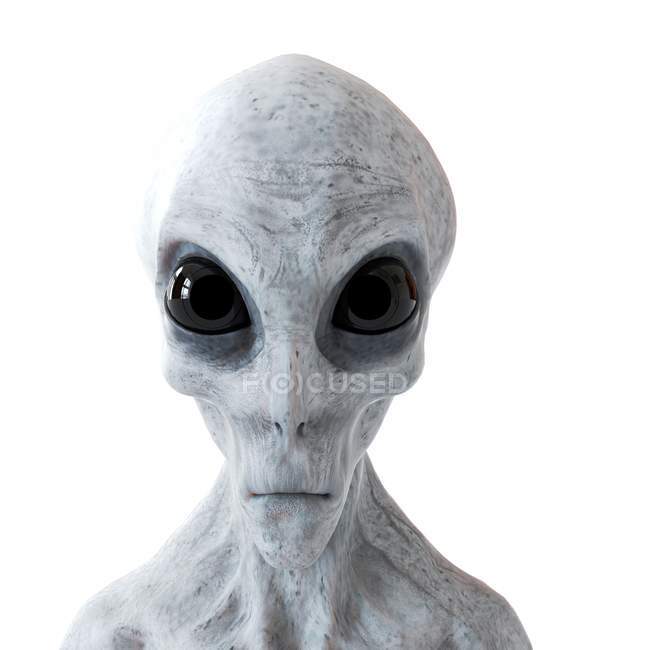 Ilustração de alienígena humanóide cinza no fundo branco, close-up
. — Fotografia de Stock