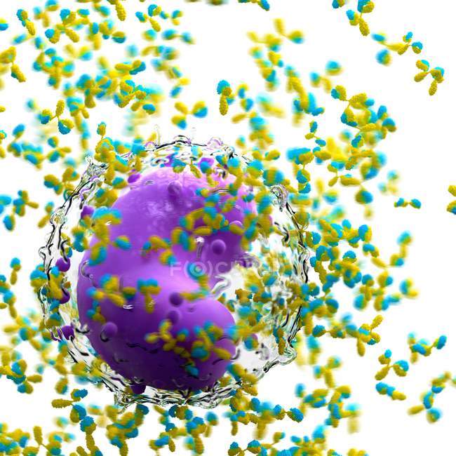 Illustration der Leukozytenzelle umgeben von Antikörpern auf weißem Hintergrund. — Stockfoto