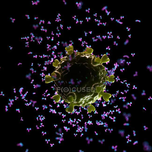 Иллюстрация антител, атакующих ВИЧ-вирус . — стоковое фото
