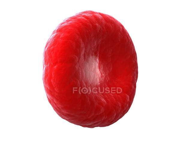 Ilustración de una sola célula sanguínea humana sobre fondo blanco . - foto de stock