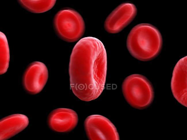Иллюстрация клеток крови человека на черном фоне
. — стоковое фото