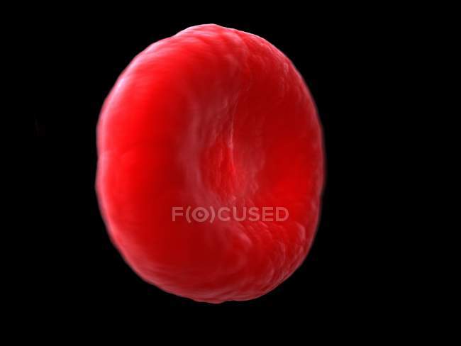Иллюстрация одиночных клеток крови человека на черном фоне
. — стоковое фото
