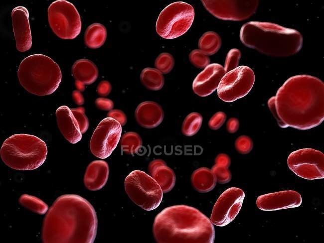 Ilustración de células sanguíneas humanas sobre fondo negro
. - foto de stock