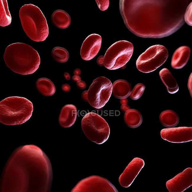 Abbildung menschlicher Blutkörperchen auf schwarzem Hintergrund. — Stockfoto