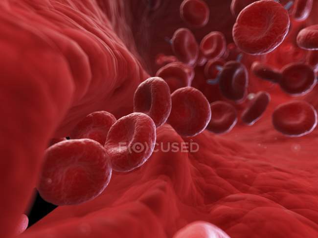 Ilustración de células sanguíneas en arteria lesionada . - foto de stock