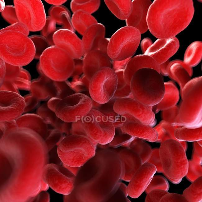 Иллюстрация тромба клеток крови человека
. — стоковое фото