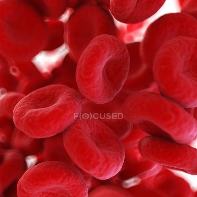 Ilustración de coágulos de células sanguíneas humanas
. - foto de stock