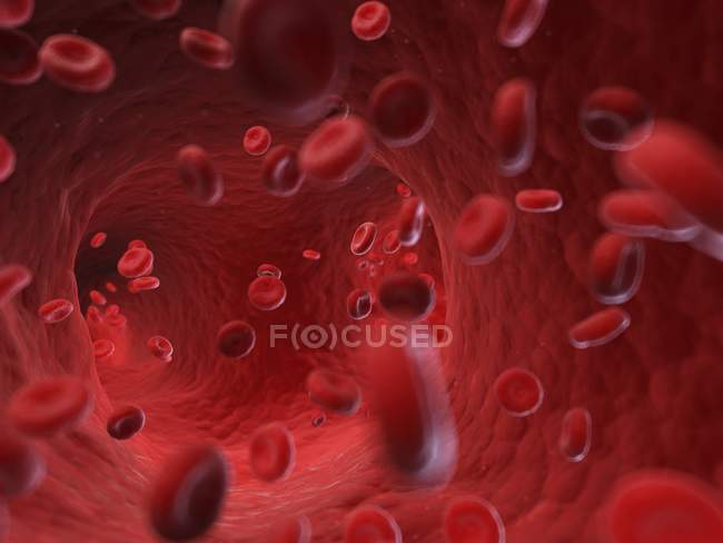 Illustrazione delle cellule ematiche umane nel flusso sanguigno
. — Foto stock