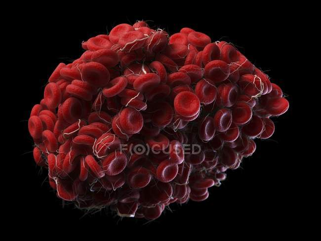 Ilustración del grupo de células en el coágulo sanguíneo . - foto de stock