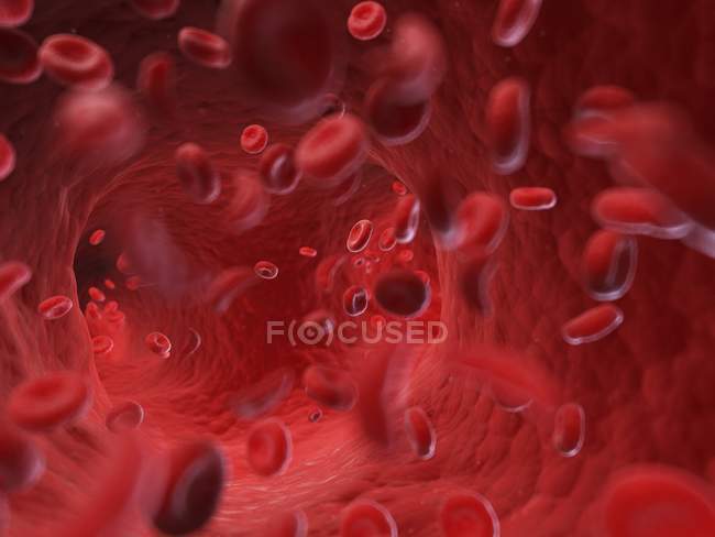 Ілюстрація тече клітин людини крові. — стокове фото