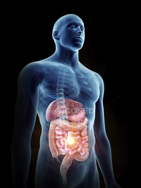 Illustration de la silhouette humaine avec un système digestif douloureux
. — Photo de stock