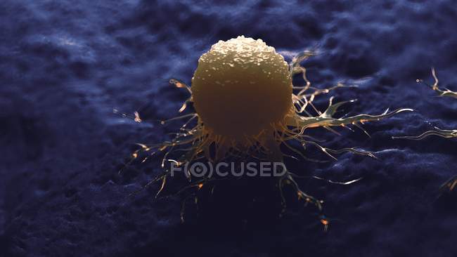 Кольорові цифрові ілюстрації ракова клітина. — стокове фото