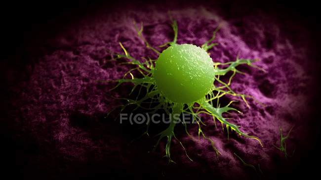 Цветная цифровая иллюстрация зеленых раковых клеток
. — стоковое фото