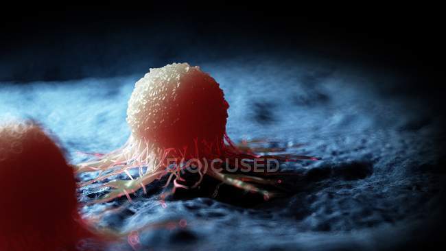 Цветной цифровой рисунок раковых клеток
. — стоковое фото