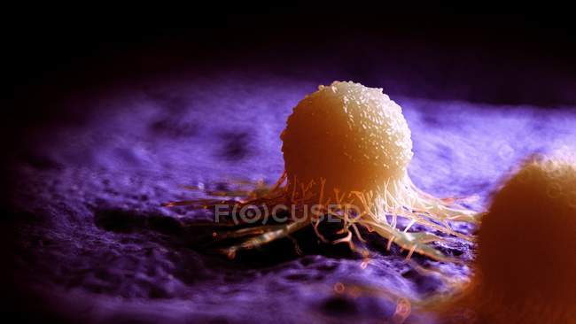 Obra de arte digital colorida da célula cancerígena
. — Fotografia de Stock