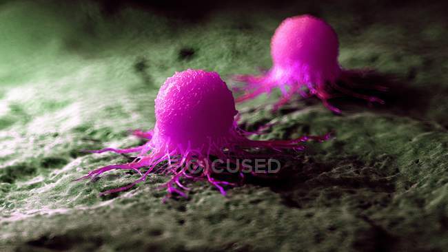 Цветная цифровая иллюстрация розовых раковых клеток . — стоковое фото