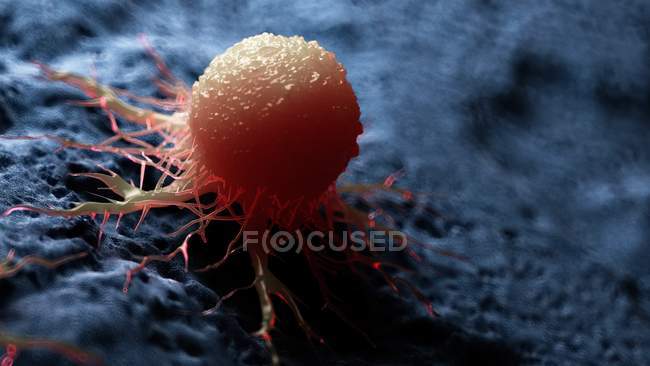 Colored digital artwork of cancer cell. — Stock Photo