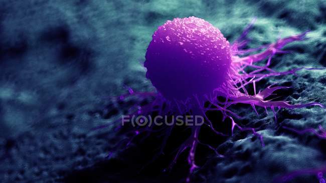 Кольорові цифрові ілюстрація purple ракова клітина. — стокове фото