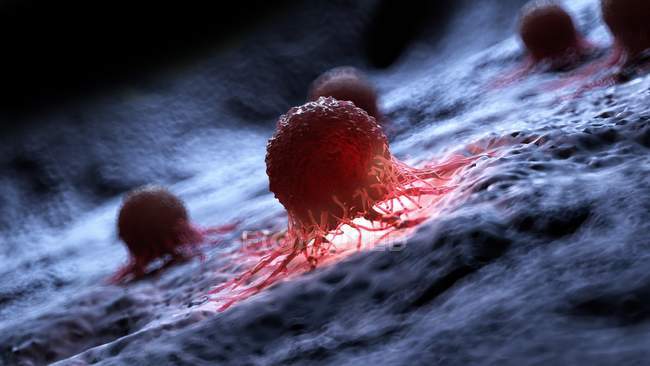 Illustrazione delle cellule tumorali umane rosse illuminate . — Foto stock