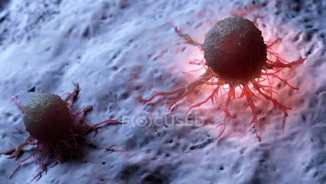 Ilustración de las células rojas iluminadas del cáncer humano
. - foto de stock
