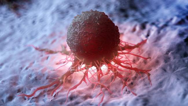 Obra de arte digital de la célula roja iluminada del cáncer humano
. - foto de stock