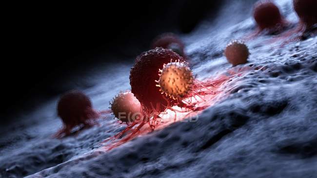Digital artwork of white blood cells attacking red illuminated cancer cell. — Stock Photo