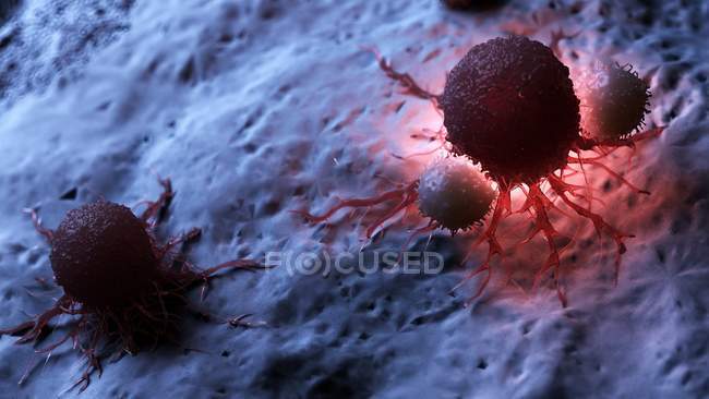 Obra de arte digital de glóbulos blancos atacando células cancerosas iluminadas rojas
. - foto de stock