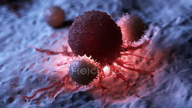 Цифровой рисунок белых кровяных телец, атакующих красные подсвеченные раковые клетки . — стоковое фото