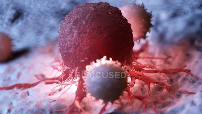 Цифрове мистецтво білих кров'яних тілець, що атакують червону ілюміновану ракову клітину . — стокове фото