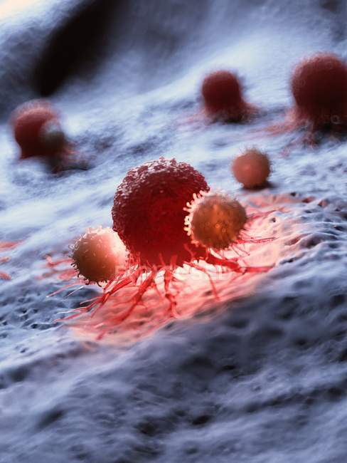 Цветная иллюстрация того, что раковые клетки атакуются белыми клетками крови . — стоковое фото