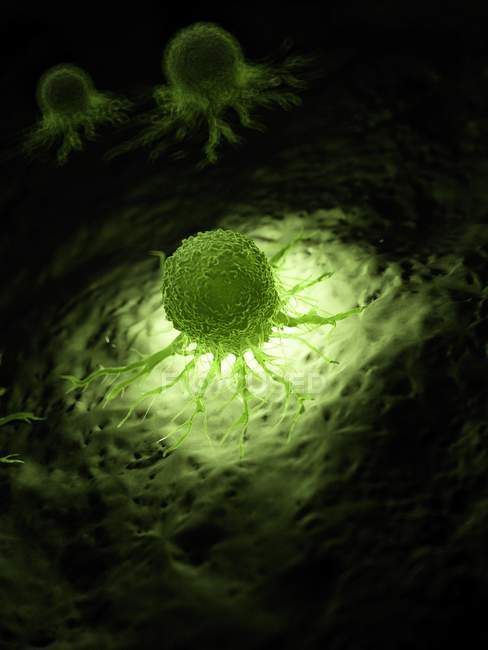 Ilustración de células cancerosas verdes iluminadas sobre fondo negro
. - foto de stock