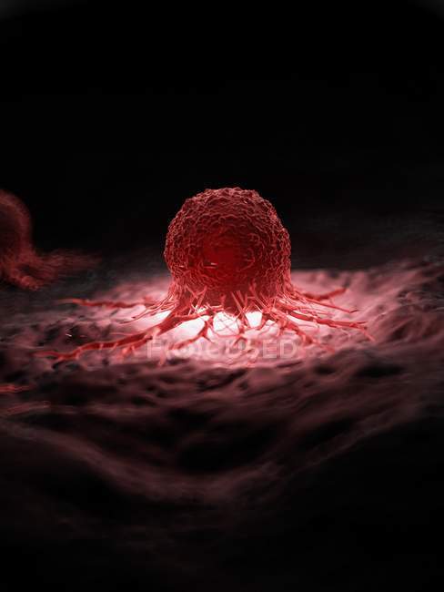 Ілюстрація освітленій червоний ракова клітина на чорному фоні. — стокове фото