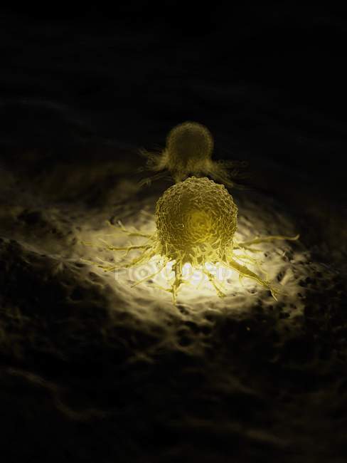 Ілюстрація освітленій ракова клітина на чорному фоні. — стокове фото