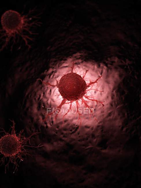 Ilustración de células rojas cancerosas iluminadas sobre fondo negro
. - foto de stock