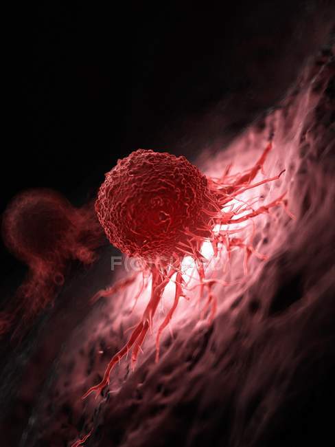 Illustration der beleuchteten roten Krebszelle auf schwarzem Hintergrund. — Stockfoto