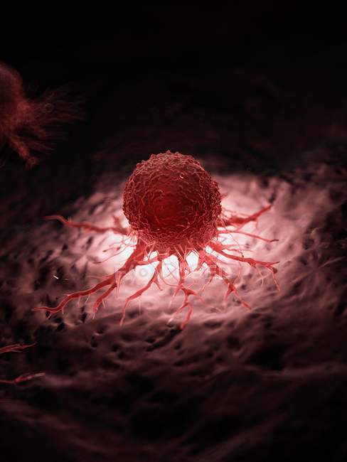 Иллюстрация красных подсвеченных раковых клеток . — стоковое фото