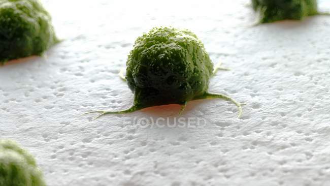 Création numérique de cellules cancéreuses vertes à la surface des tissus
. — Photo de stock