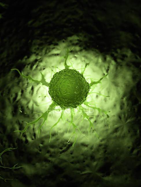 Illustration de cellules cancéreuses illuminées en vert
. — Photo de stock