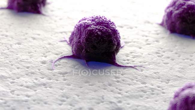 Obra digital de células cancerosas púrpuras en la superficie del tejido . - foto de stock