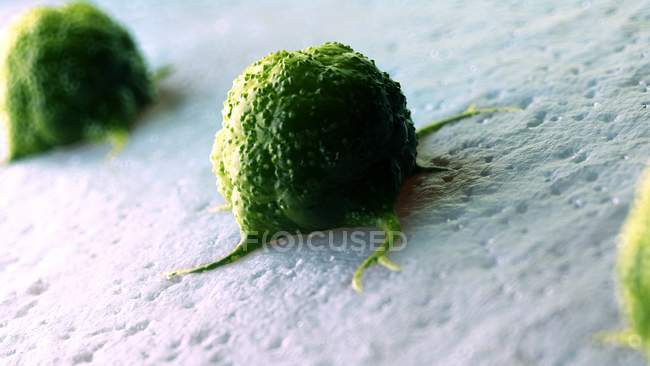 Цифровий ілюстрація зелений ракових клітин. — стокове фото
