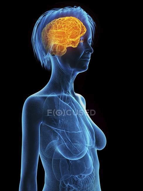 Illustration médicale de la silhouette d'une femme âgée avec un cerveau surligné sur fond noir . — Photo de stock