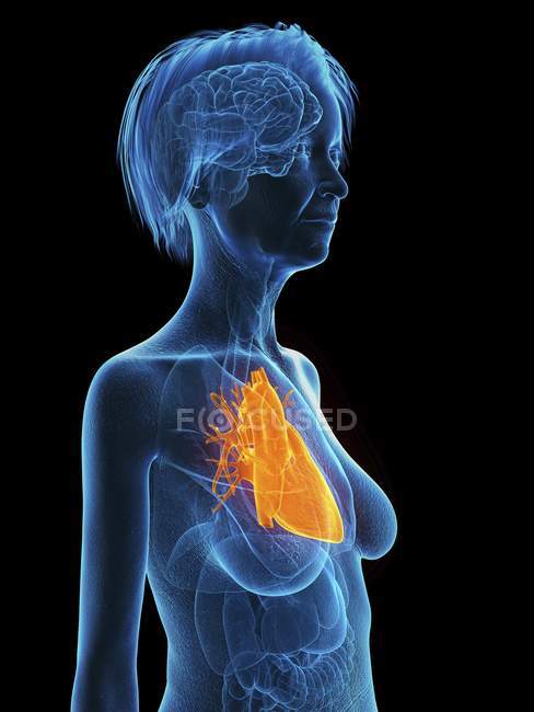 Illustration of senior woman silhouette with colored heart on black background. — Stock Photo