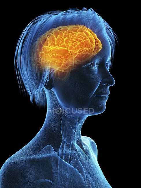 Ilustração médica de silhueta de mulher sênior com cérebro destacado em fundo preto . — Fotografia de Stock