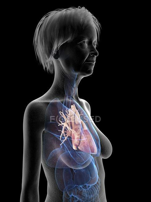 Ilustração da silhueta da mulher sênior mostrando o coração no fundo preto . — Fotografia de Stock