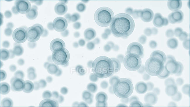 Egg cells on white background, digital illustration. — Stock Photo