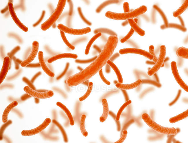 Bakterienzellen orange auf weißem Hintergrund, Illustration. — Stockfoto