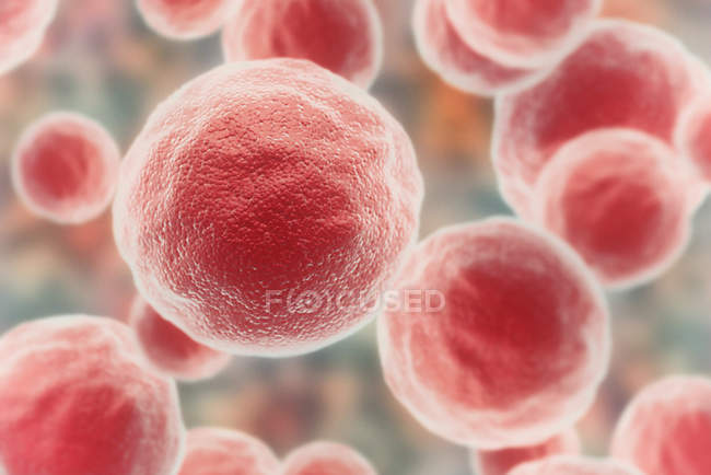 Цифровая иллюстрация красных раковых клеток, полный кадр . — стоковое фото