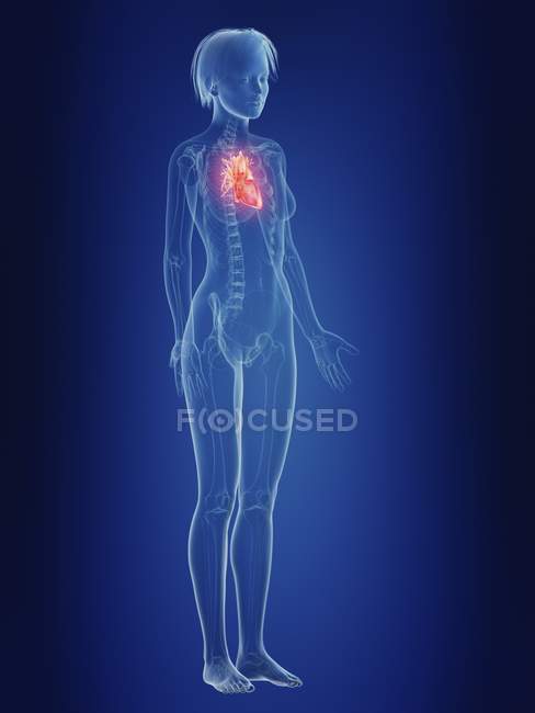Illustration of female silhouette with painful heart. — Stock Photo
