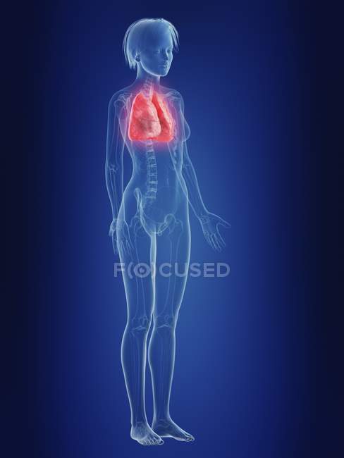 Illustration der weiblichen Silhouette mit schmerzenden Lungen. — Stockfoto